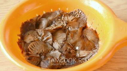 икра из опят на зиму