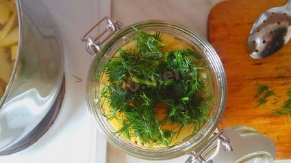 кабачки с перцем квашеные на зиму