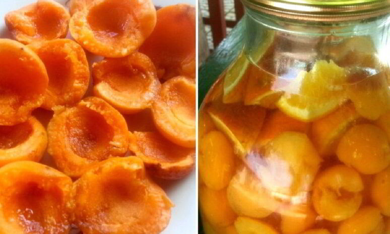 Рецепт компота из абрикосов и апельсинов