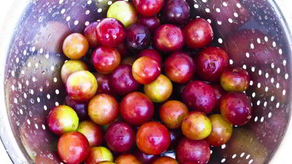 компот из алычи и яблок на зиму