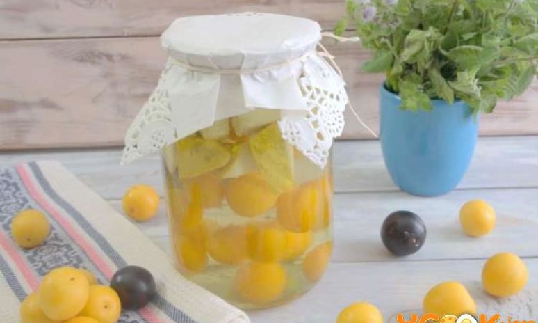 Рецепт компота из алычи