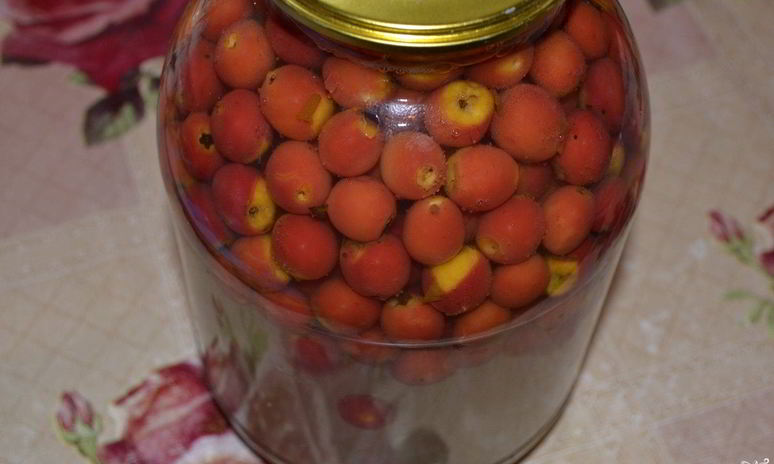 Рецепт компота из боярышника