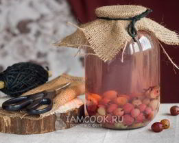 Компот из красного и зеленого крыжовника на зиму