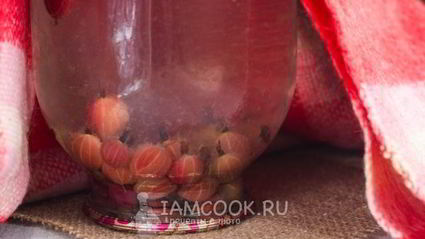 компот из красного и зеленого крыжовника на зиму