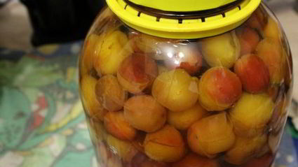 компот из мелкой сливы с мятой