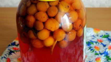 компот из мелкой сливы с мятой