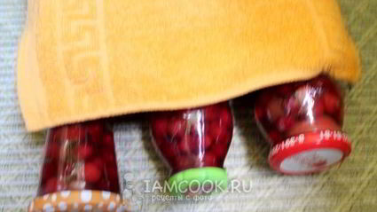 компот из ранеток и вишни на зиму