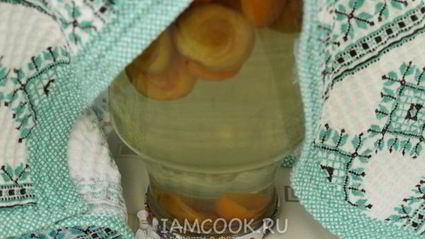 компот из сливы и абрикоса на зиму