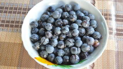 виноградный компот из изабеллы