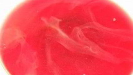 вишневый компот на зиму