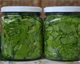 Консервированный щавель на зиму