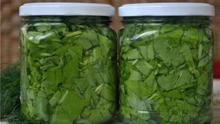 Консервированный щавель на зиму