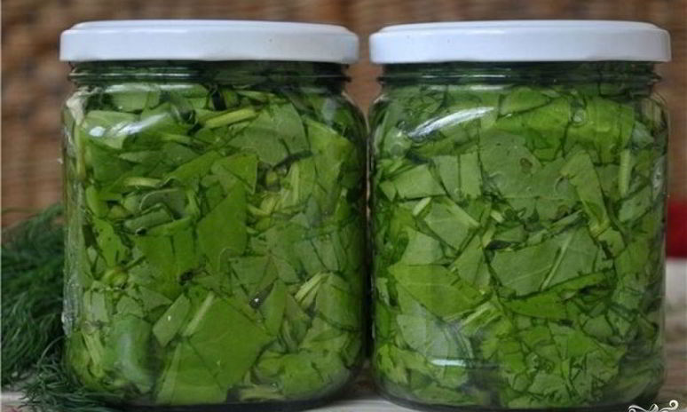 Рецепт консервированного щавеля на зиму