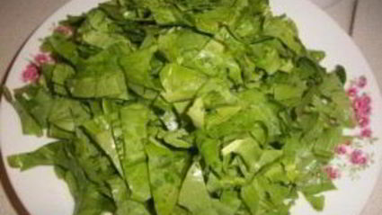 консервированный щавель на зиму