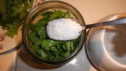 консервированный щавель на зиму