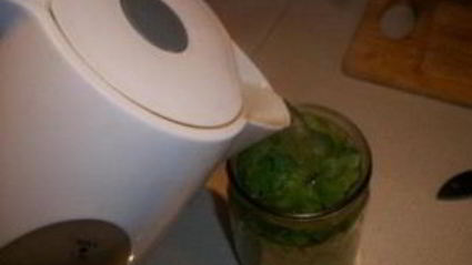 консервированный щавель на зиму