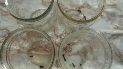 консервированные кабачки с кетчупом чили на зиму