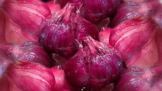 Квашеный чеснок