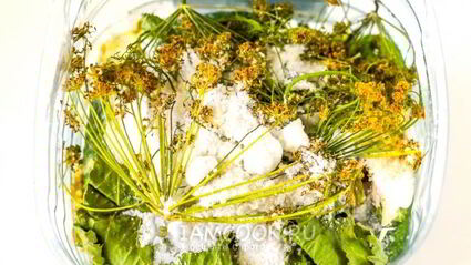 квашеные огурцы с горчицей