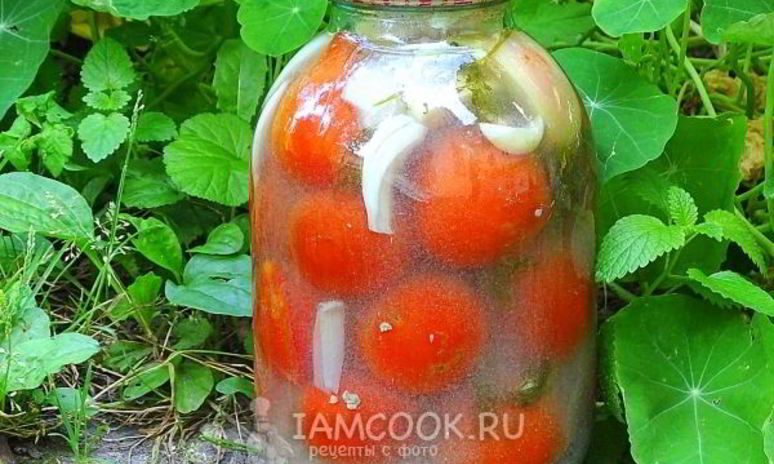 Рецепт квашеных помидоров в банках