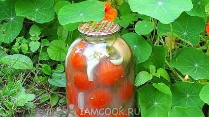 квашеные помидоры в банках