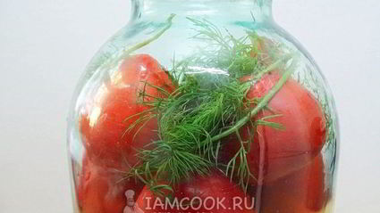 квашеные помидоры в банках