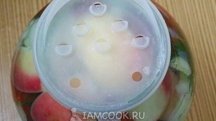 квашеные помидоры в банках