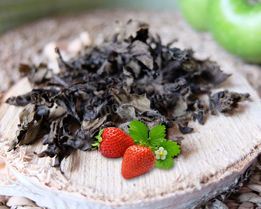 Листья клубники на зиму