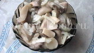 Грибы маринованные