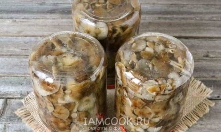 Рецепт маринования опят на зиму
