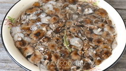 маринование опят на зиму