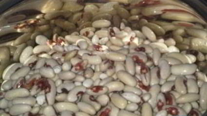 маринованная фасоль на зиму