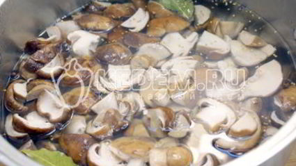 маринованные белые грибы на зиму