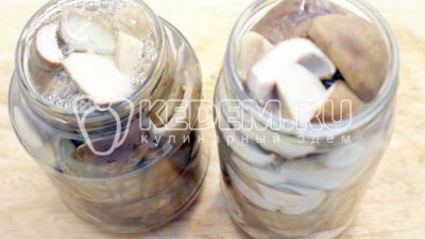 маринованные белые грибы на зиму