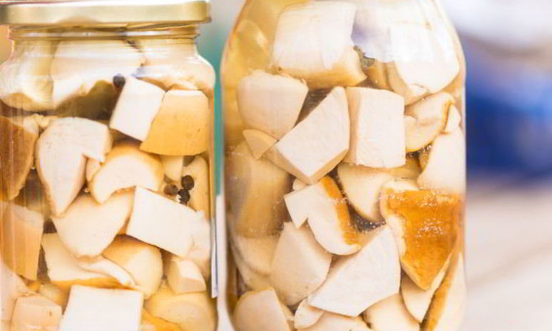 Рецепт маринованных грибов горькушки