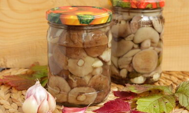 Рецепт маринованных маслят