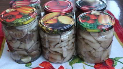 маринованные маслята