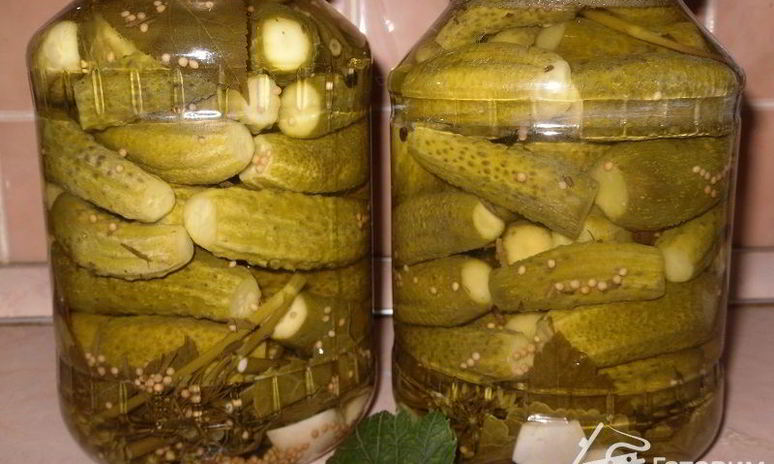 Рецепт маринованных огурчиков по-польски
