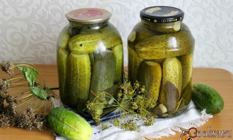 Рецепт маринованных огурцов с имбирем