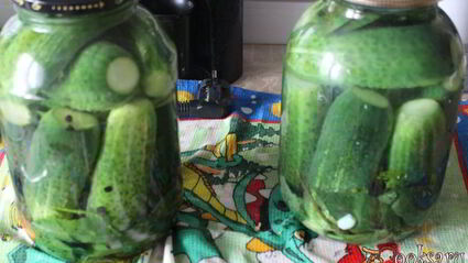 маринованные огурцы с имбирем