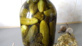 Маринованные огурцы