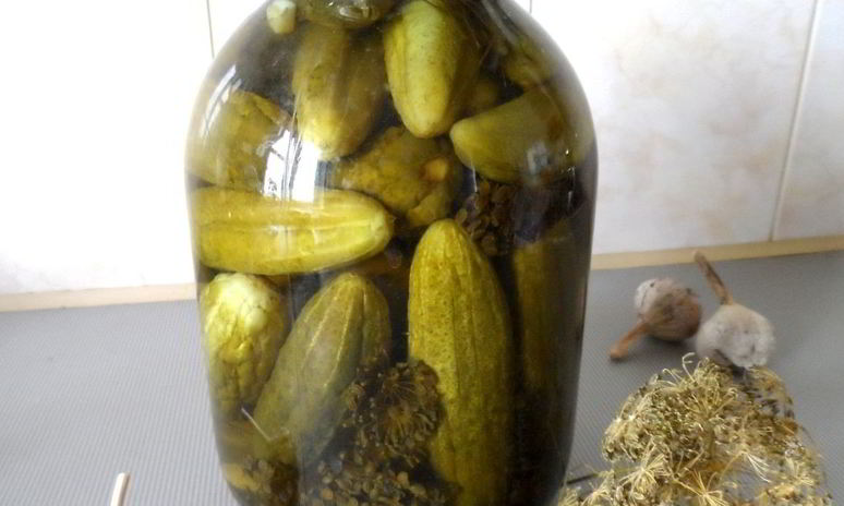 Рецепт маринованных огурцов