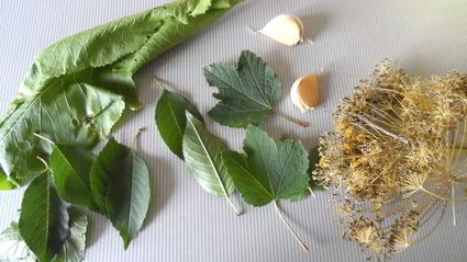 маринованные огурцы