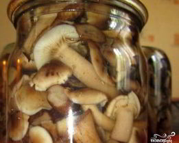 Маринованные опята с уксусом