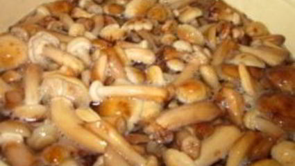 маринованные опята с уксусом