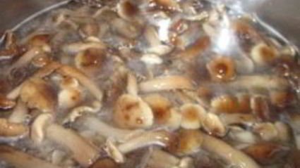 маринованные опята с уксусом