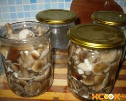 Маринованные опята