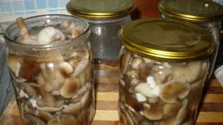 Маринованные опята