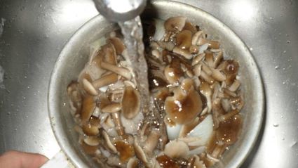 маринованные опята