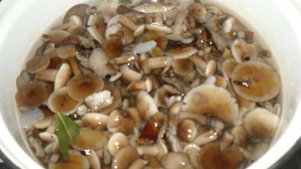 маринованные опята